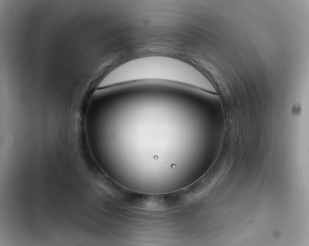 X0000103230308200808281437