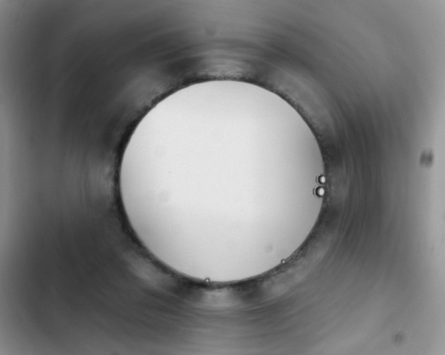 X0000103230309200808281437