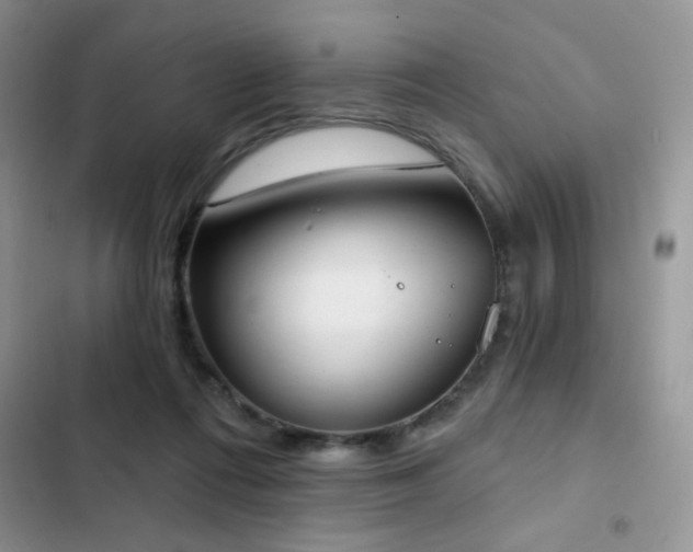 X0000103230312200808281437