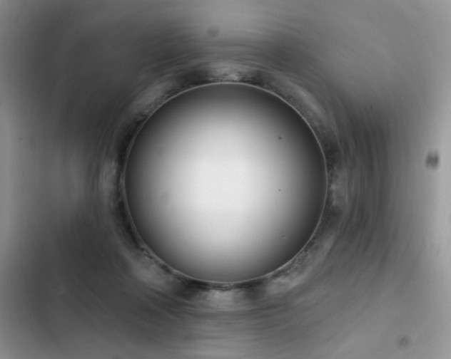 X0000103230314200808281436
