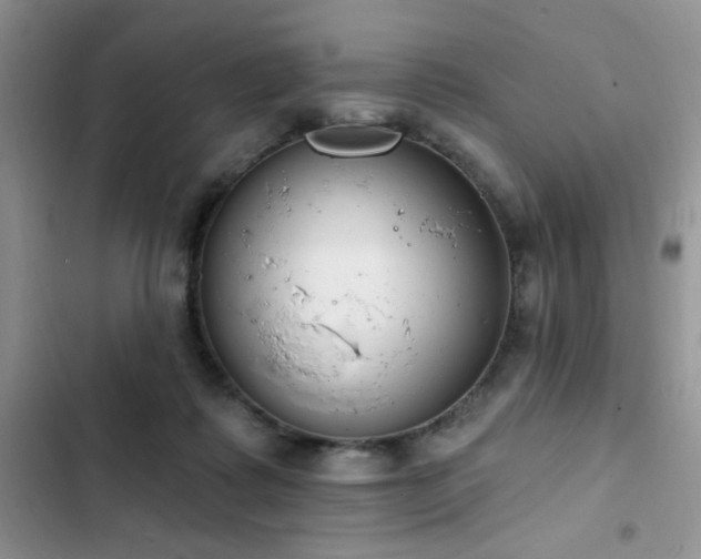 X0000103230315200808281436
