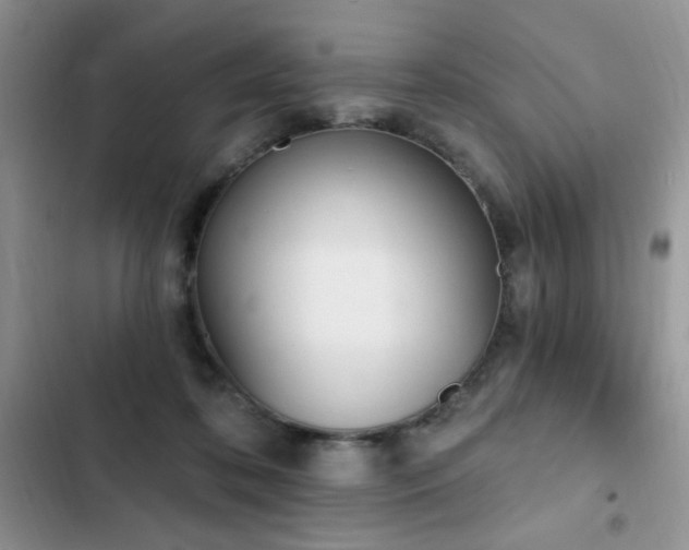 X0000103230316200808281436