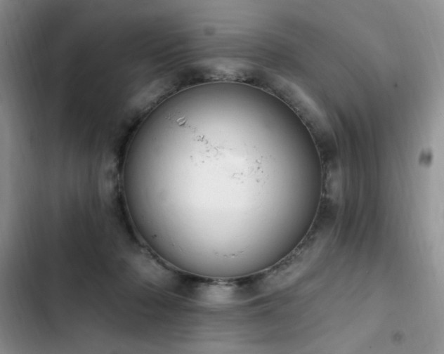 X0000103230318200808281436