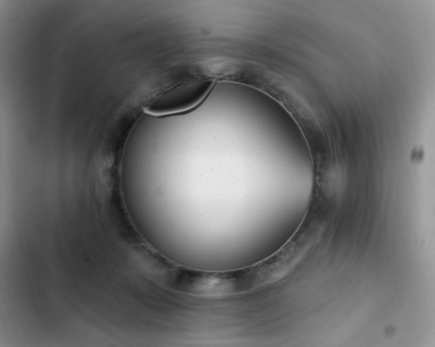 X0000103230319200808281436