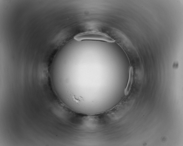 X0000103230320200808281436