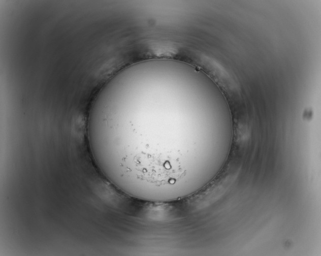 X0000103230321200808281436