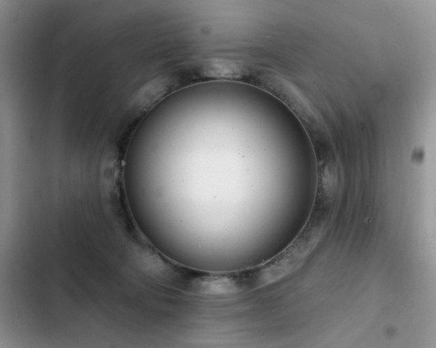 X0000103230322200808281436