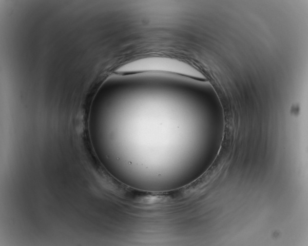 X0000103230323200808281436