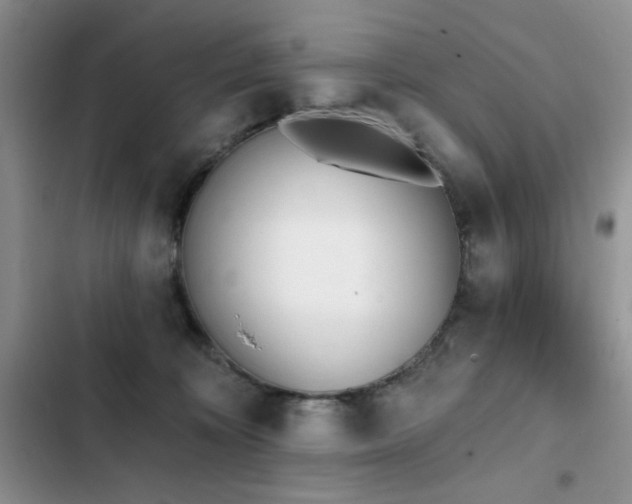 X0000103230324200808281436