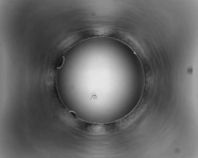 X0000103230325200808281436
