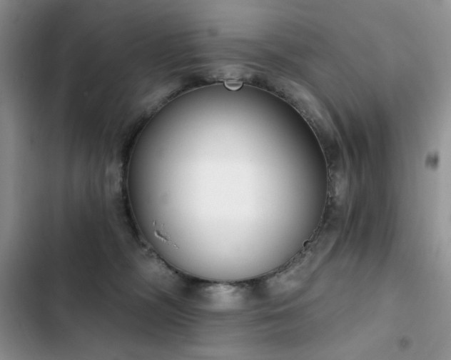 X0000103230326200808281436