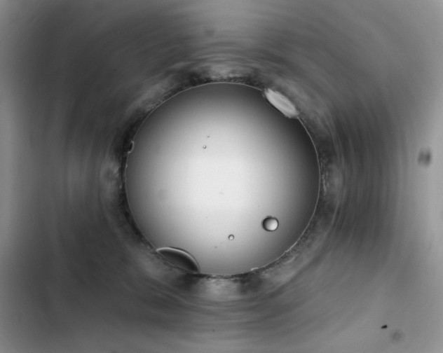 X0000103230327200808281436