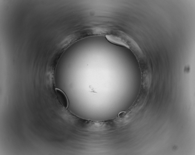 X0000103230329200808281436