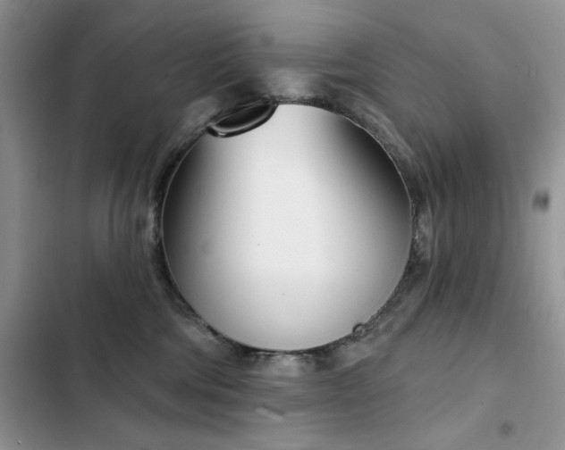 X0000103230330200808281436