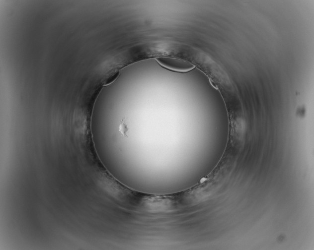 X0000103230331200808281436