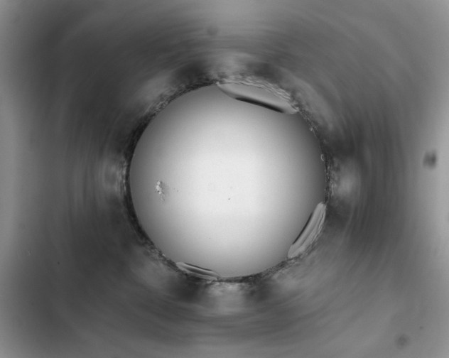 X0000103230332200808281436