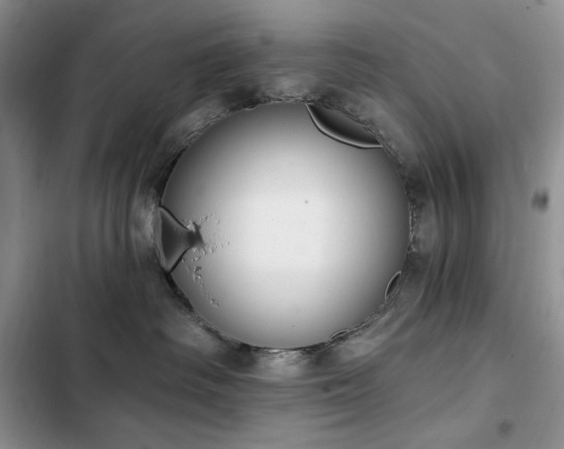 X0000103230334200808281436