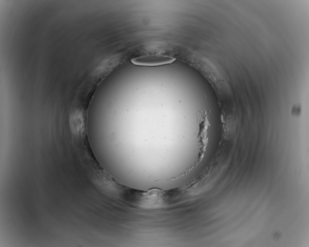X0000103230335200808281436