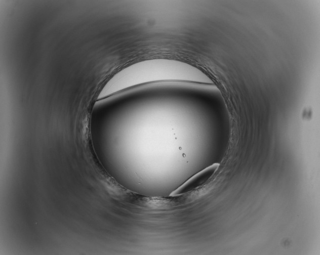 X0000103230336200808281436