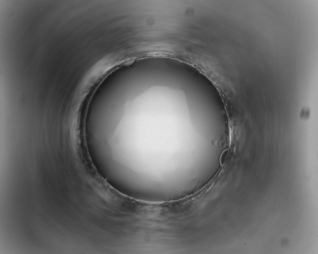X0000103230339200808281436