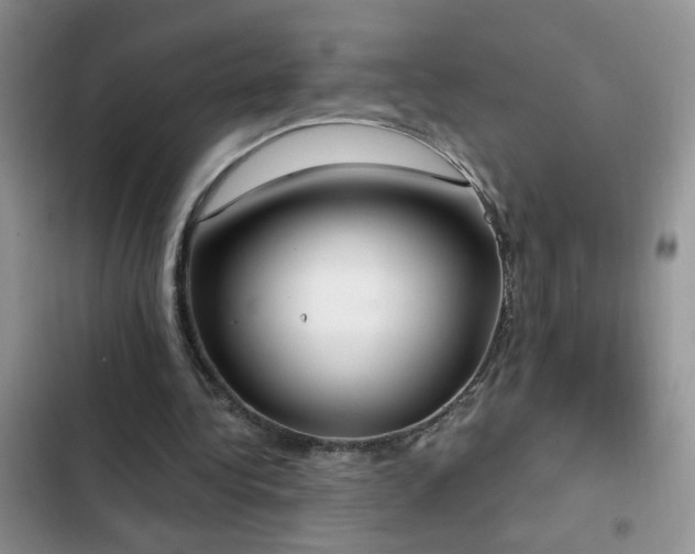X0000103230340200808281436
