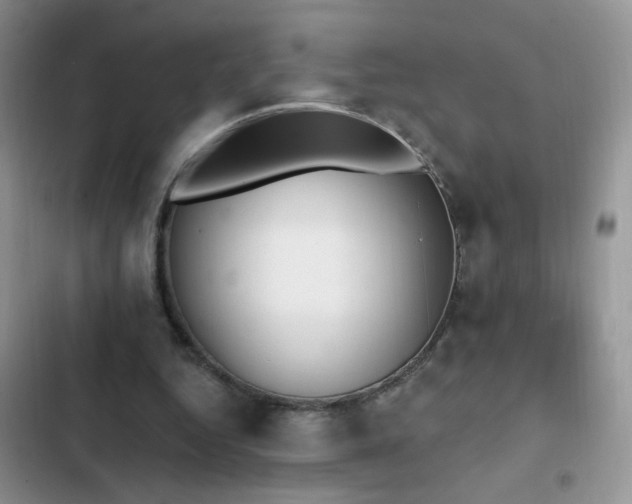 X0000103230344200808281436