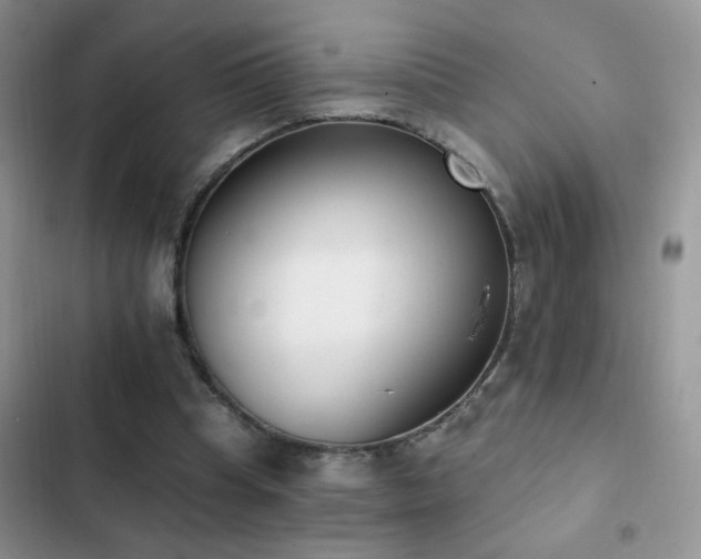 X0000103230345200808281436
