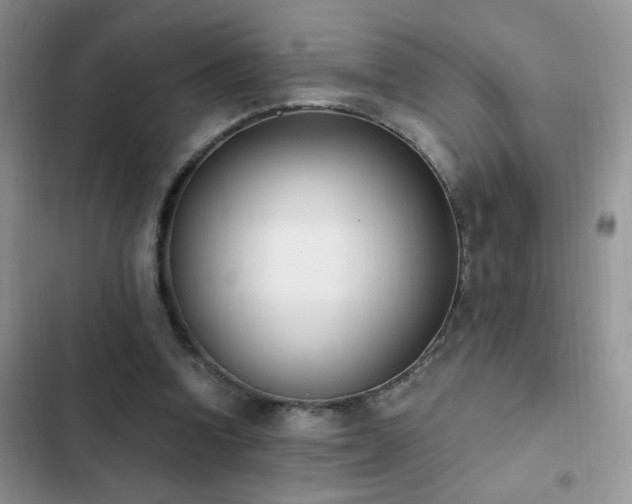 X0000103230346200808281436
