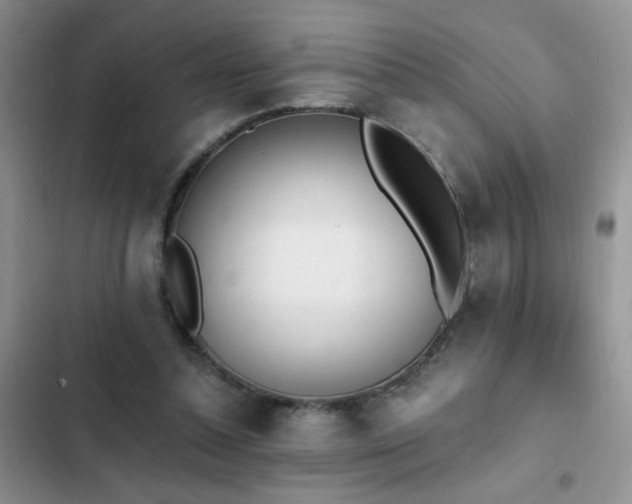 X0000103230348200808281436