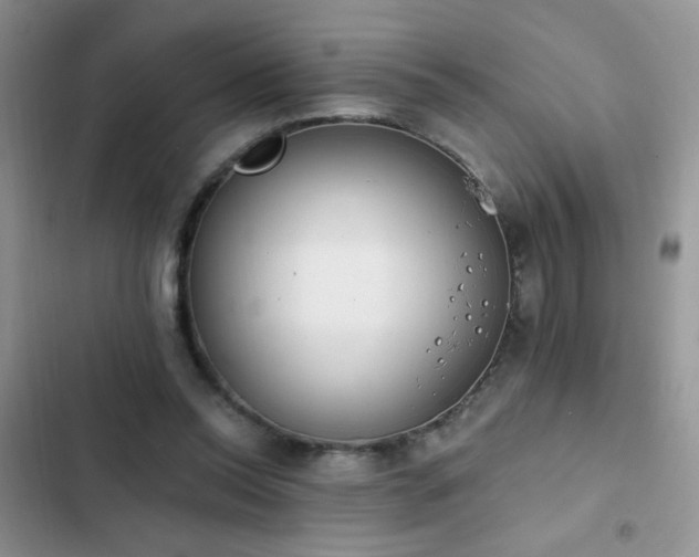 X0000103230350200808281436
