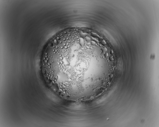 X0000103230351200808281436