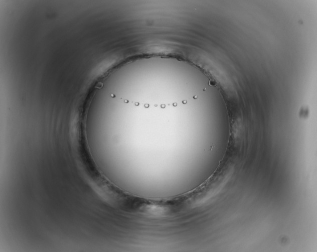 X0000103230352200808281436