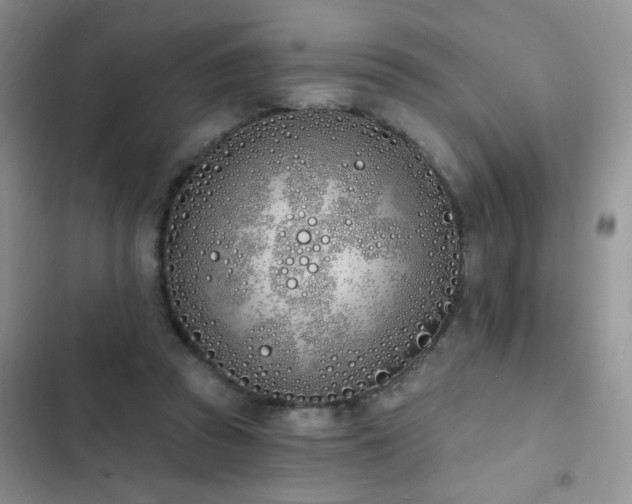 X0000103230353200808281436