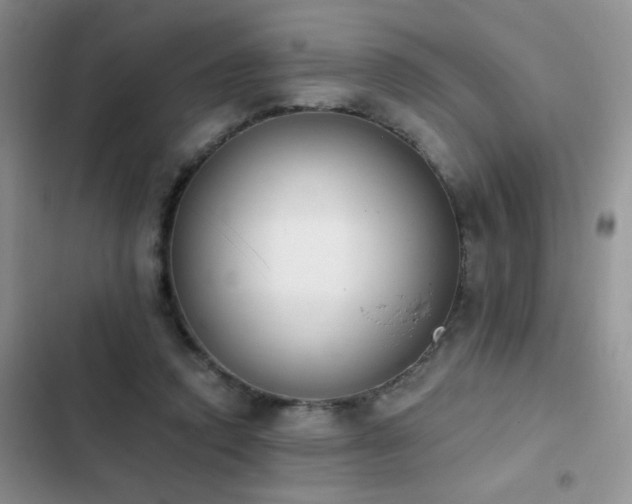 X0000103230354200808281436