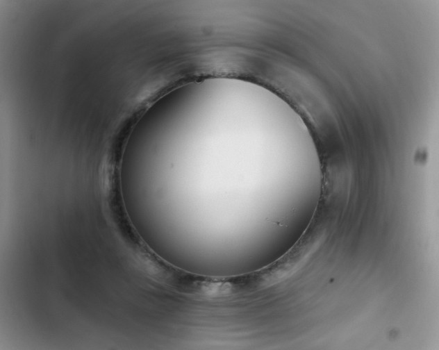 X0000103230355200808281436