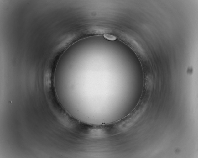 X0000103230358200808281436