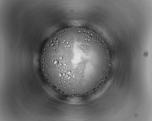 X0000103230359200808281436