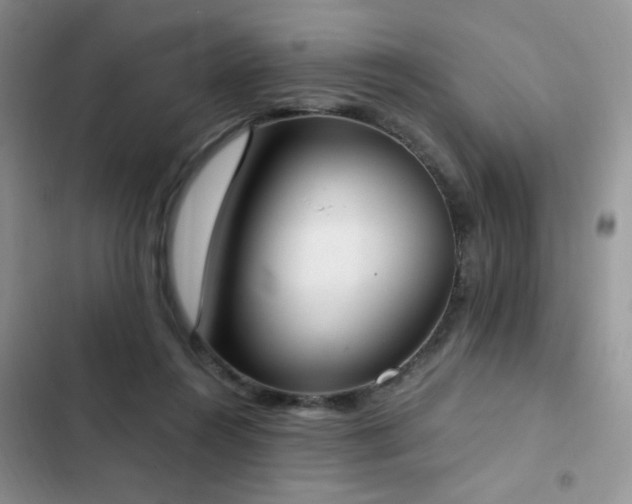 X0000103230360200808281436