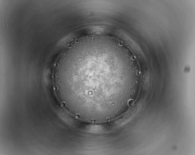 X0000103230361200808281436
