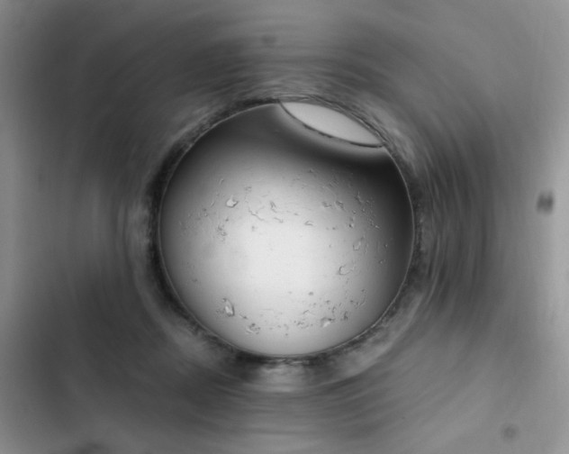 X0000103230362200808281436