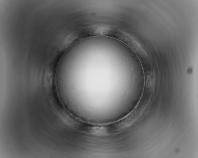 X0000103230363200808281436