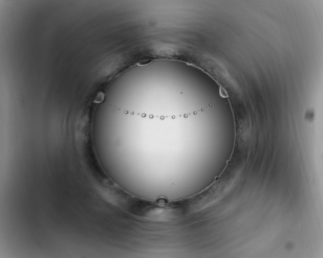 X0000103230364200808281436