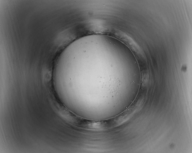 X0000103230365200808281436