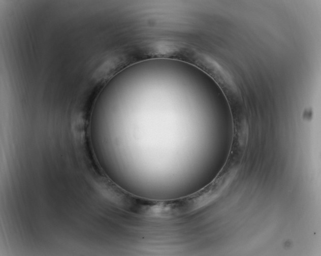X0000103230366200808281436