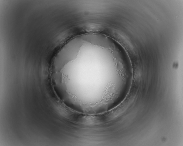 X0000103230367200808281436