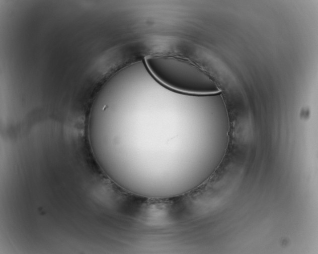 X0000103230368200808281436