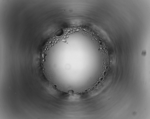 X0000103230369200808281436