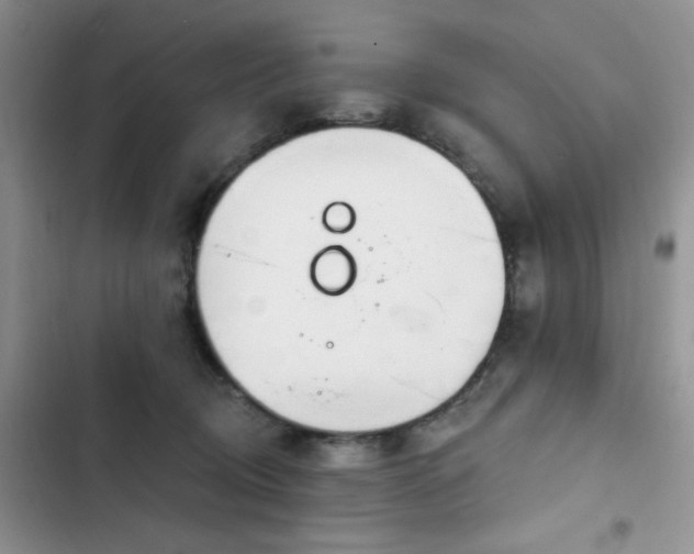 X0000103230370200808281436