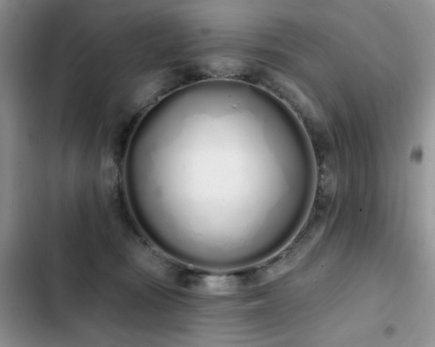 X0000103230371200808281436