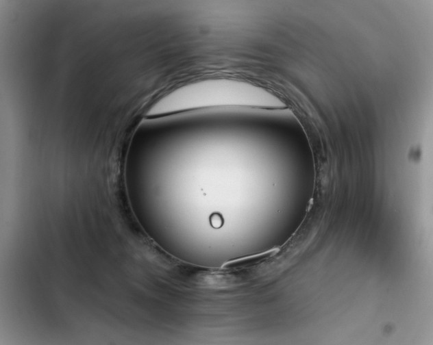 X0000103230372200808281436